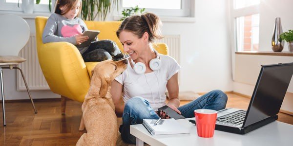 Un perro se muestra cariñoso con su ama, en casa, porque los consentidos del hogar tienen estatus legal